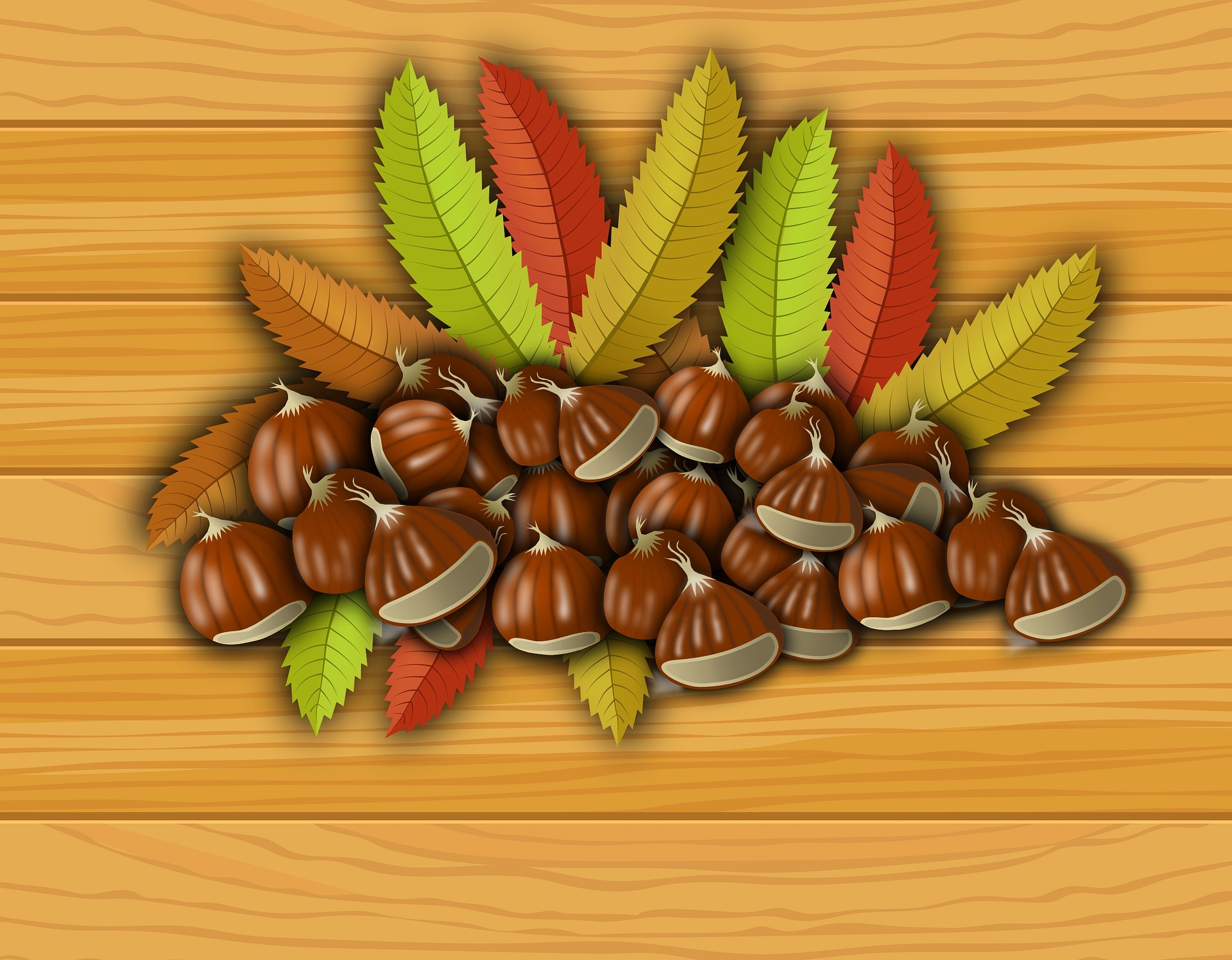 chestnuts-1989618_1920.jpg